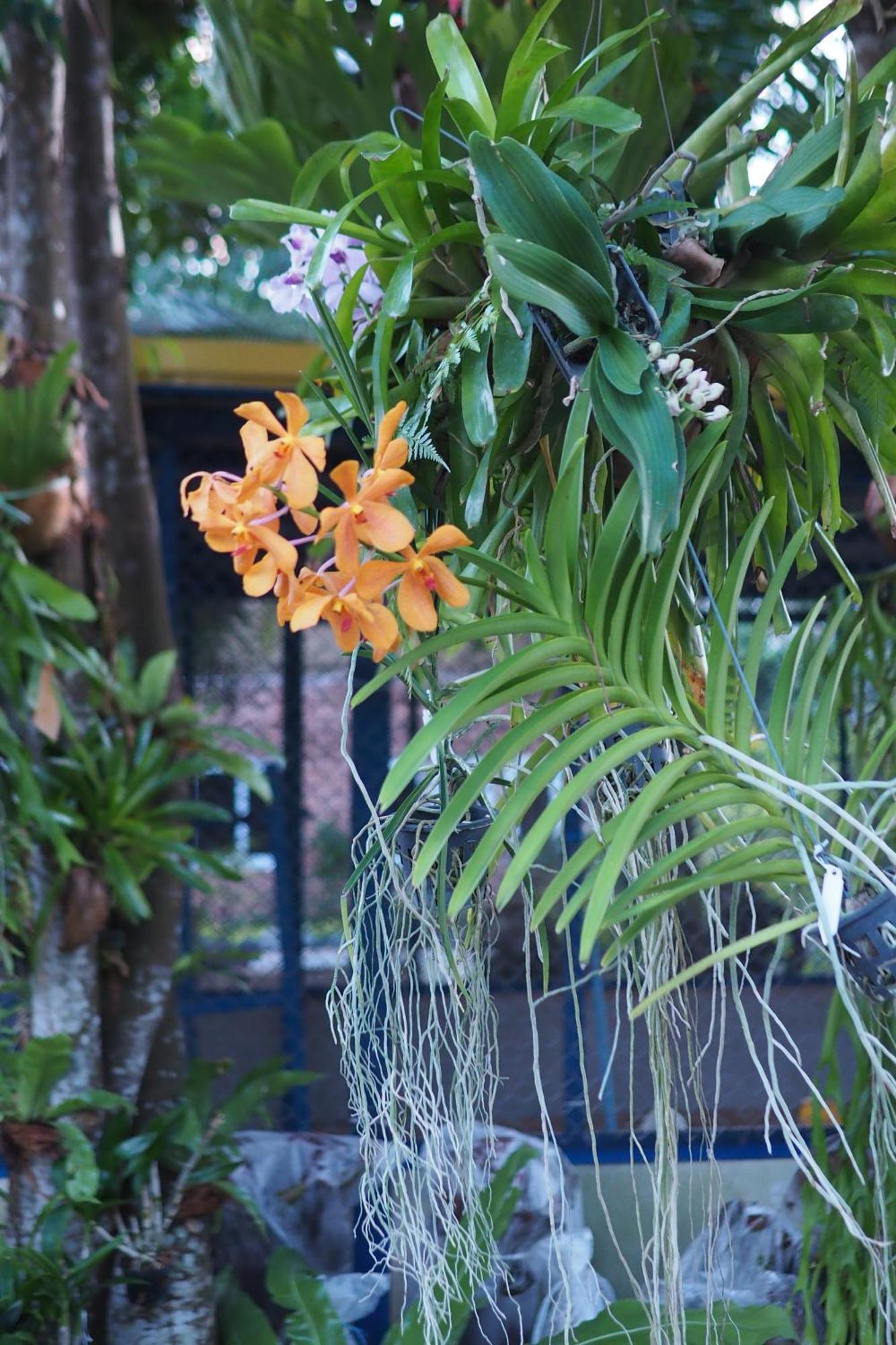 Villa Omloft Phuket Exterior foto
